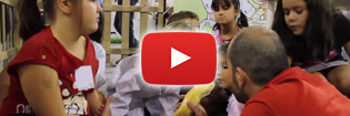 video diverfauna mimascota malaga